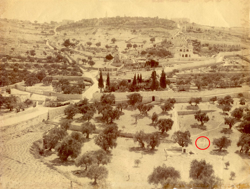 The Garden of Gethsemane, General view by Felix Bonfils ca. 1885 - click to enlarge.