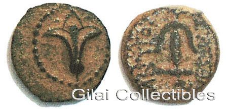 Seleucid Coin Under Hyrcanus I. Minted By Antiochus The 7th During Year 182 BCE. - click to enlarge.