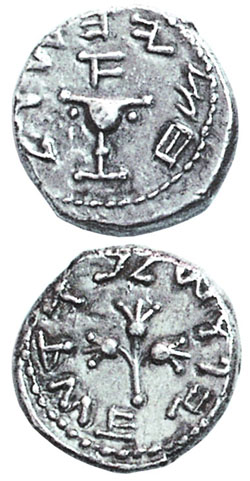 Half Shekel Silver Coin. Jerusalem, 1st Year Of The Jewish War Against Rome (Year 66/67 CE). - click to enlarge.