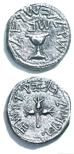 Silver Shekel Minted in Jerusalem Dated to 2ed Year Of The Jewish War Against Rome (67/68 C.E.) - click to enlarge.
