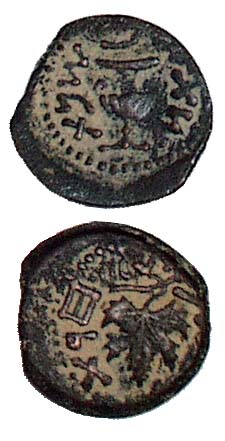 Prutah Bronze Coin. Jerusalem, 2ed Year Of The Jewish War Against Rome (Year 67/68 CE). - click to enlarge.
