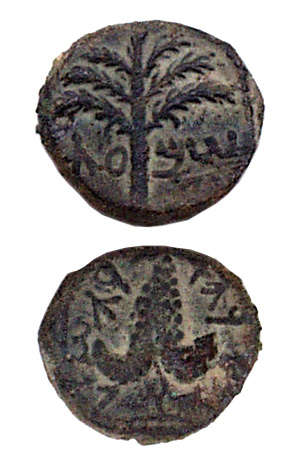 Bronze Bar Kochba Coin 'Freedom Of Jerusalem'. 3ed Year Of The Jewish Revolt Against Rome (134 CE). - click to enlarge.